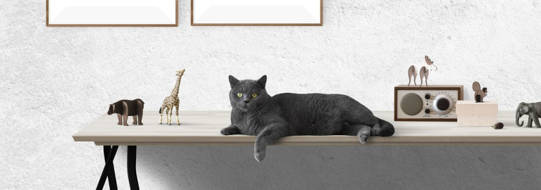 Leerer Schreibtisch mit schwarzer Katze