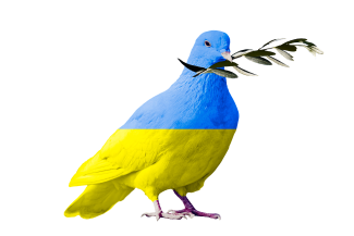 Taube in gelb und blau mit Olivenzweig (Fotomontage)