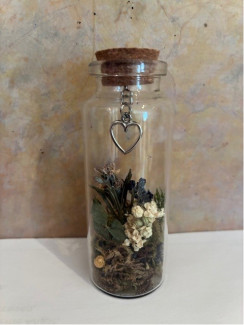 Pflanzen in einem mit Korken oben verschlossenen hohen Glas