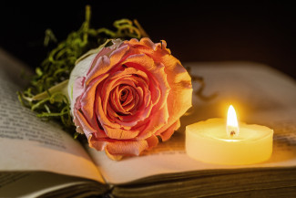 Rosenblüte und Kerze, Bibel