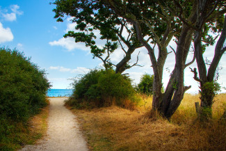 Weg am Strand